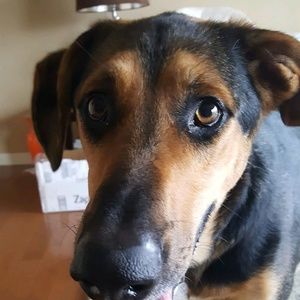 Meet your Posher, Kevin